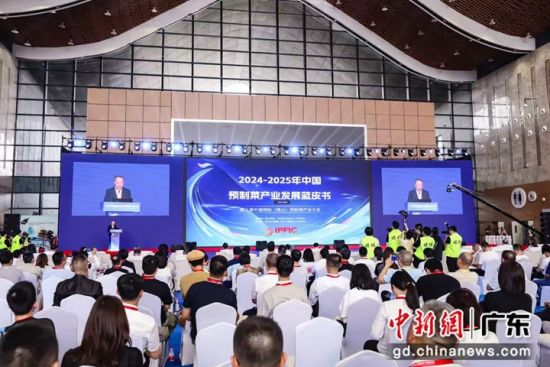 蓝皮书发布。主办方 供图