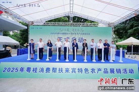 启动仪式。主办方 供图 启动仪式。主办方 供图